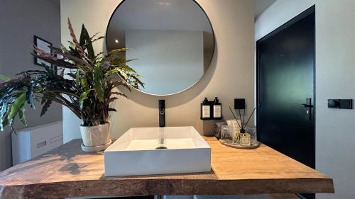 a bathroom with a white sink and a mirror at Boutique Hotel Le Faucon in Valkenburg
