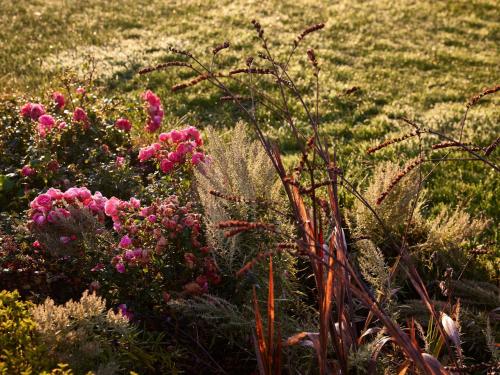 a garden with pink flowers in a field at Domaine du Liziec Vannes - MGallery Collection in Vannes