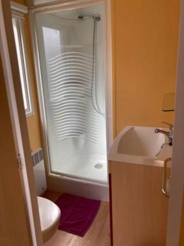 une salle de bain avec une douche, un lavabo et des toilettes dans l'établissement camping Youpendi, à Tournon-sur-Rhône