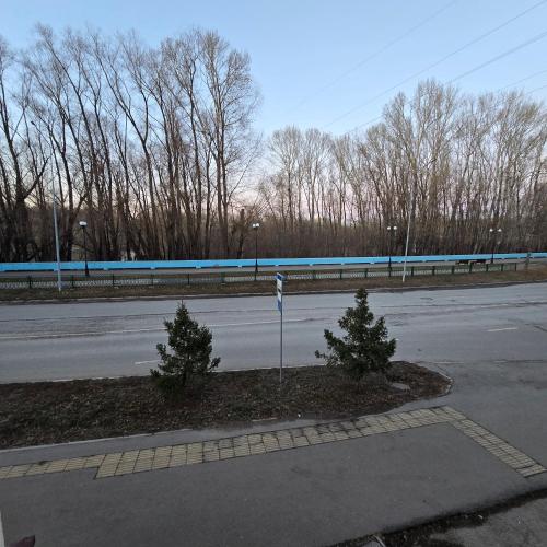 an empty street with two trees on the side of the road at Phorto Bella in Ustʼ-Kamenogorsk
