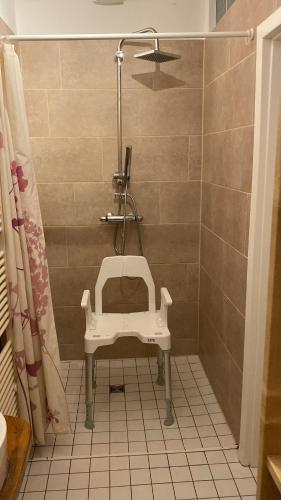 a bathroom with a shower with a white sink at Ferienwohnung Garten Eben in Rullstorf