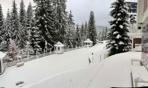 Двоповерховий апартамент у котеджі Freeman-4b з альтанкою та грилем v zimě