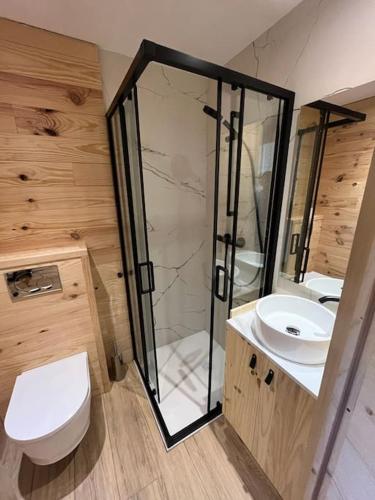 une salle de bain avec toilettes, douche et lavabo dans l'établissement Studio Auron 4 couchages, à Saint-Étienne-de-Tinée