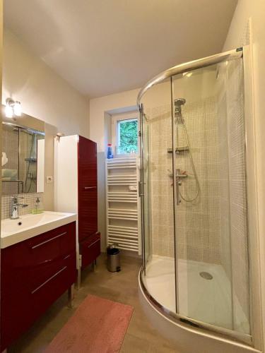 une salle de bain avec douche et lavabo dans l'établissement Joli T3 au pied du Golf - The 19th Hole, à Bellême