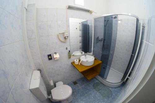 a bathroom with a toilet and a sink and a shower at Hotel Transilvania in Cluj-Napoca