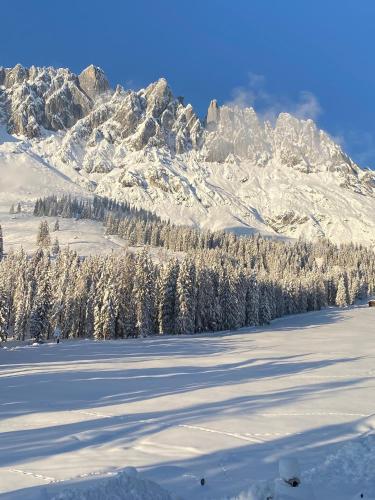 a snow covered mountain with trees in the foreground at Appartementhaus Hochkönig - Panoramablick in Mühlbach am Hochkönig