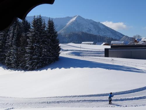 a person on skis in the snow with a mountain at Pension Bayrhammer in Faistenau