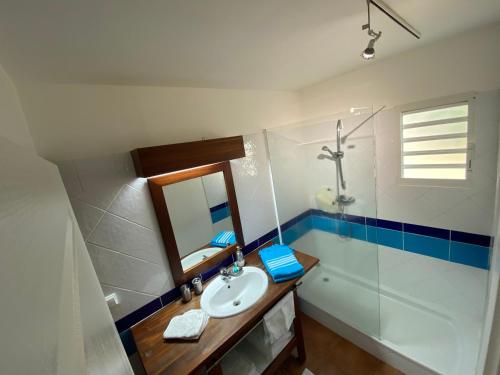 a bathroom with a sink and a mirror and a shower at Marisol les pieds dans l eau in Le Gosier