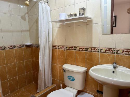 Urbanizacion Buenos AiresにあるLa casa de Rosyのトイレと洗面台付きのバスルーム