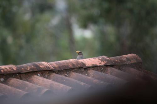 Gambar di galeri bagi SAMAY WASI Rest house di Ollantaytambo