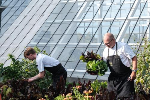 two men in aprons working in a garden at Idrættens Hus Hotel og Konference in Brøndbyvester