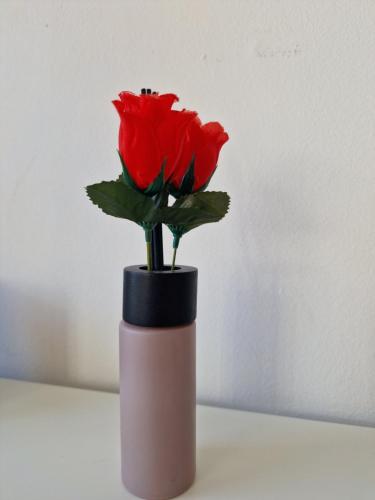 a pink vase with two red roses in it at Private Room Terrace in Kirchheim