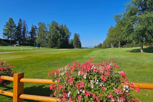 a park with a wooden fence and flowers at Charming Chalet Downtown in Lens