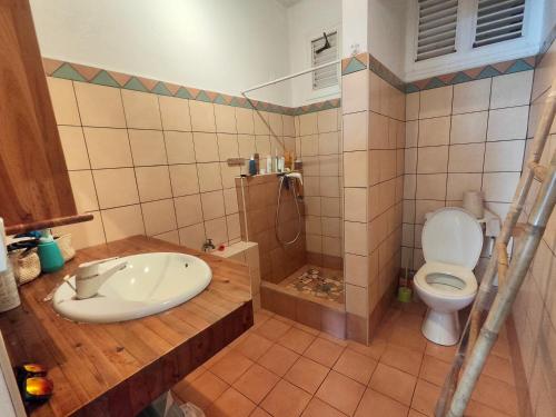 a bathroom with a sink and a toilet at Villa Constellation vue Mer piscine et plage à pied in Le Gosier