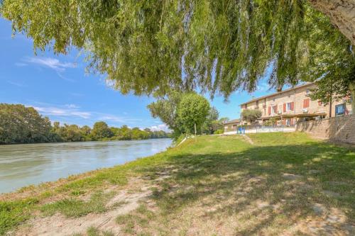 a view of the allegheny river from under a tree at Le Francfort - Les appartements de l'olivier in Loyettes