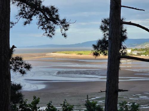 a view of a beach from between two trees at Church Path House in Minehead