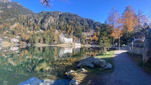 a view of a lake with trees and a mountain at Petit Canada - Studio à louer in Champex