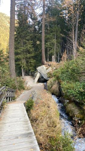 a wooden bridge over a stream in a forest at Petit Canada - Studio à louer in Champex