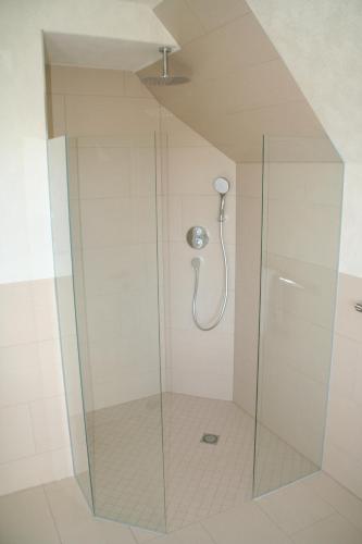 a shower with a glass door in a bathroom at Gersbach-1922 in Schopfheim