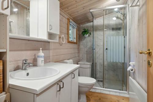 a bathroom with a toilet and a sink and a shower at Relaxing Holiday Home Near Water And Jesperhus in Roslev