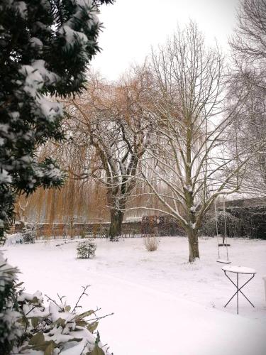 a snow covered park with trees and a swing at B&B La Sucrerie in Amougies