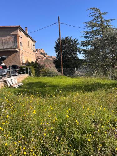 a field of yellow flowers in front of a house at Casa Rural Can Bastida in Cardona