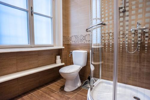 a bathroom with a toilet and a shower at All In Apartman in Budapest