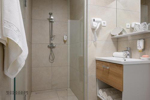 a bathroom with a shower and a sink at Hiša Janko in Dolenjske Toplice
