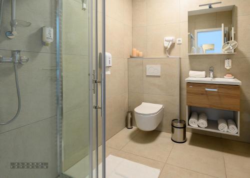 a bathroom with a shower and a toilet and a sink at Hiša Janko in Dolenjske Toplice
