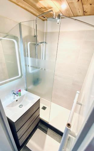 une salle de bain avec douche et lavabo dans l'établissement Appartement Madiba face à la dune des Bourdaines !, à Seignosse