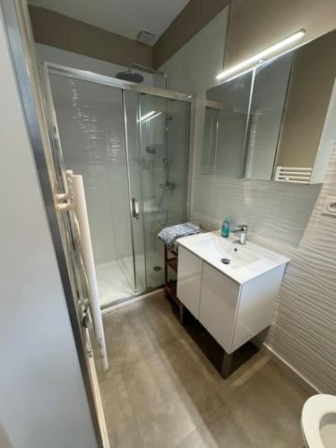 La salle de bains est pourvue d'une douche et d'un lavabo blanc. dans l'établissement Cosy studio Tournons, à Tournon-sur-Rhône
