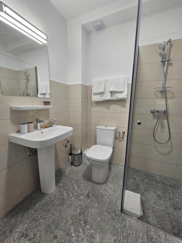 a bathroom with a toilet and a sink and a shower at Vila Carol in Alba Iulia