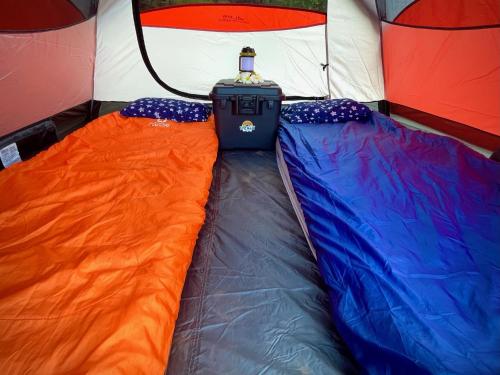Fotografie z fotogalerie ubytování Budget Hack Maui SUV camping v destinaci Kahului