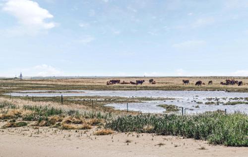 a herd of horses grazing in a field at Stunning Home In Havndal With Wifi in Havndal