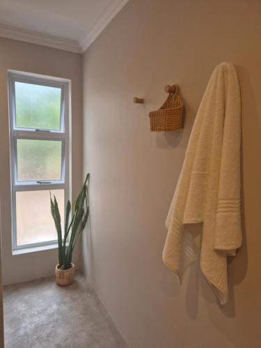 Fotografie z fotogalerie ubytování South Merino Guestfarm v destinaci Richmond