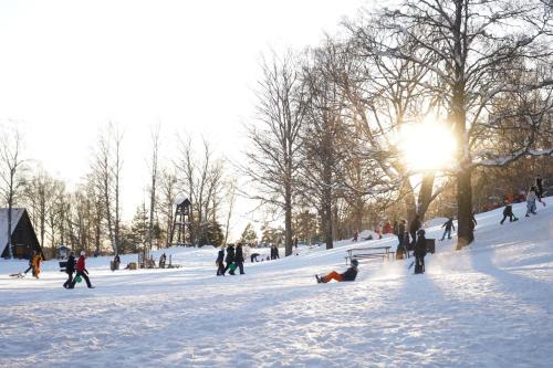 a group of people playing in the snow at Strandvägen 6B Stig in Järvsö