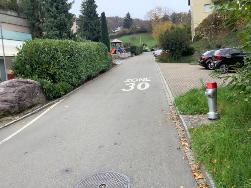 Jízda na kole v ubytování Charmante Maisonnette avec grande terrasse vue sur la Limmat nebo okolí