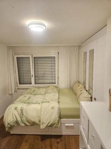 Postel nebo postele na pokoji v ubytování Charmante Maisonnette avec grande terrasse vue sur la Limmat