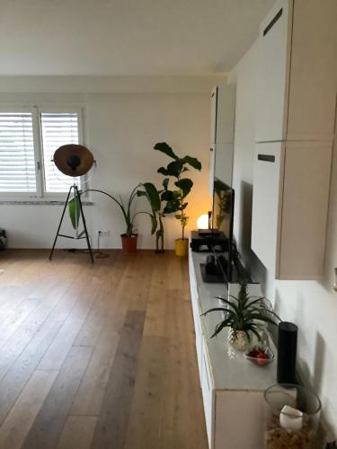 Fotografie z fotogalerie ubytování Charmante Maisonnette avec grande terrasse vue sur la Limmat v destinaci Oetwil an der Limmat