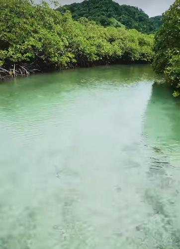 a body of water with trees in the background at Ranchos de Chalia Panama in Portobelo