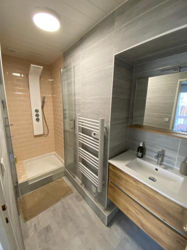 une salle de bain avec un lavabo et une douche dans l'établissement Dijon hypercentre *Le Berbisey*, à Dijon
