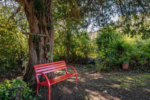 a red bench sitting next to a tree at Nogueira in Vega de Logares
