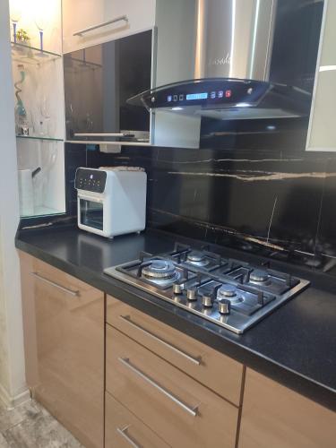 a kitchen with a stove and a microwave at Top Point Chisinau Apartment in Chişinău