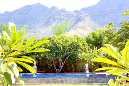 a garden with trees and mountains in the background at Kubuku Eco Dive Lodge and Yoga in Pemuteran