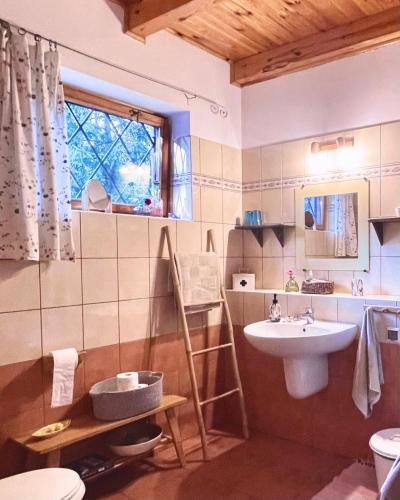 a bathroom with a sink and a toilet and a window at Anika dom w lesie nad jeziorem Słupinko in Dziemiany