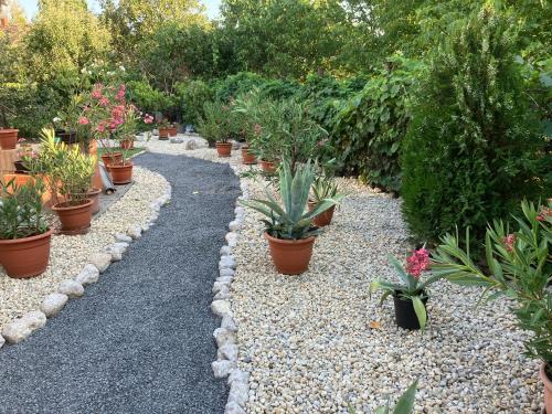 a garden with potted plants on a gravel path at Relax Apartman in Sümeg