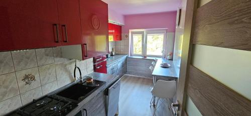 Η κουζίνα ή μικρή κουζίνα στο Apartament Tkaczy