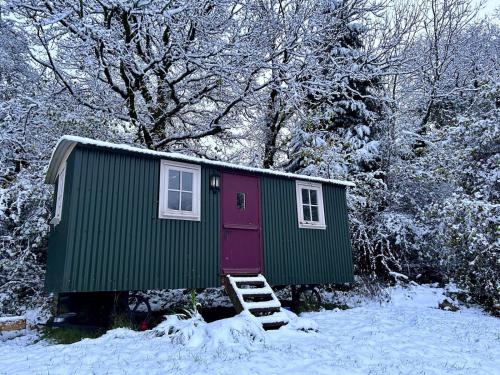 a green and purple house with a ladder in the snow at Cozy Cabin Retreat near Chepstow in Chepstow