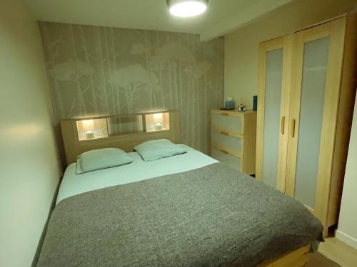 a bedroom with a large bed with two pillows at Maisonnette dans jardin partagé in Colombes