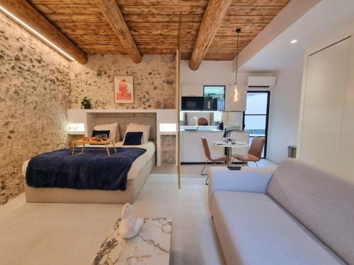 25 rue Celony - Le Vendome - Jacuzzi - VideoProjecteur